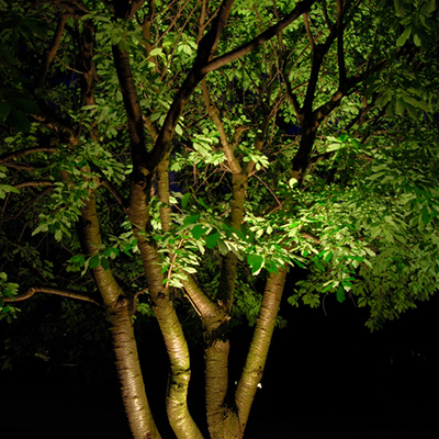 Lighting Techniques