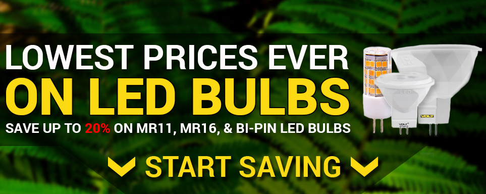 Price Drop Alert on LED Bulbs