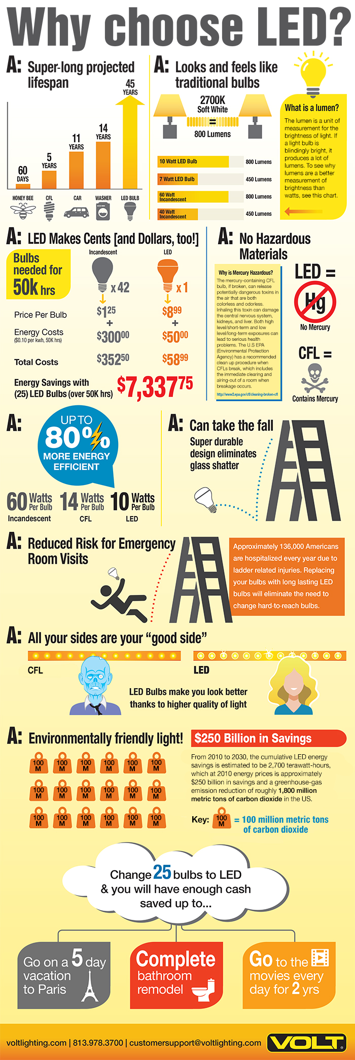 LED Bulb Facts Infographic