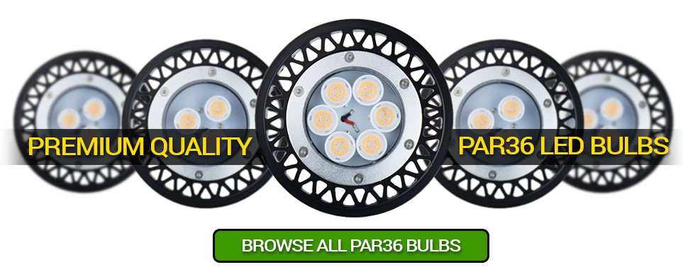 12V LED PAR36 Bulbs | VOLT Lighting