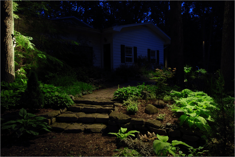 moonlighting landscape lighting