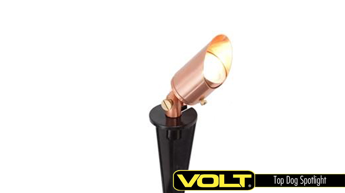 Top Dog Low Voltage Spotlight